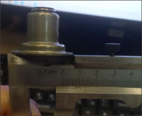 Oil-removing cap (with skirt) WP10 Euro5