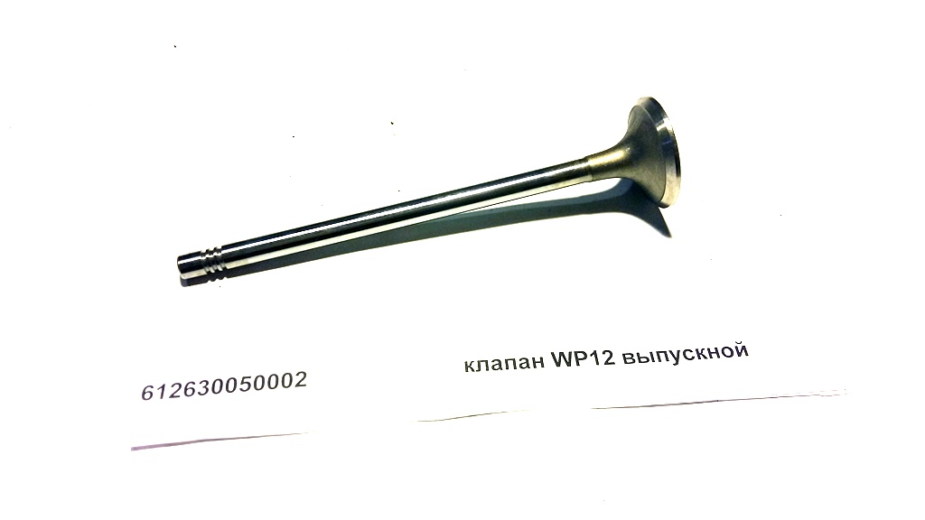 Exhaust valve WP12 SHAANXI  612630050002